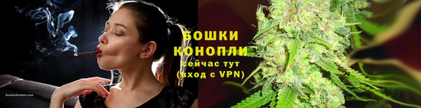 стаф Беломорск