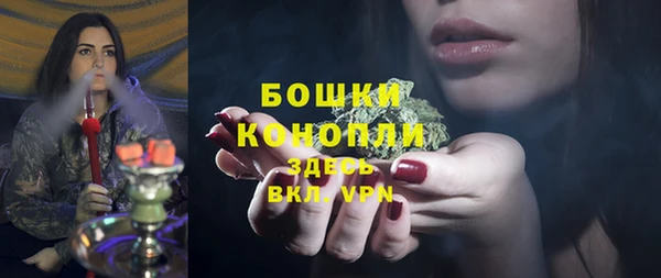 стаф Беломорск