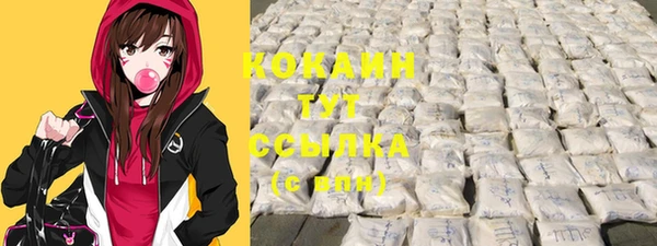 стаф Беломорск
