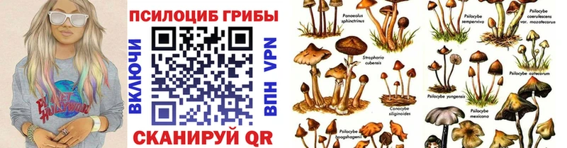 Галлюциногенные грибы Magic Shrooms  сайты даркнета телеграм  Гулькевичи  MEGA tor 