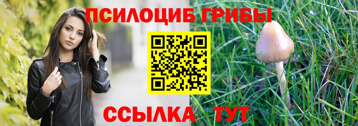 Гулькевичи  Галлюциногенные грибы ЛСД  Вход с VPN  Псилоцибиновые грибы MAGIC MUSHROOMS 
